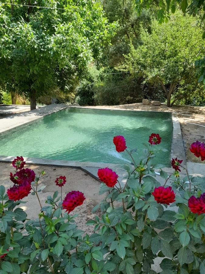 Forest Guest House Mirzakishlak Экстерьер фото