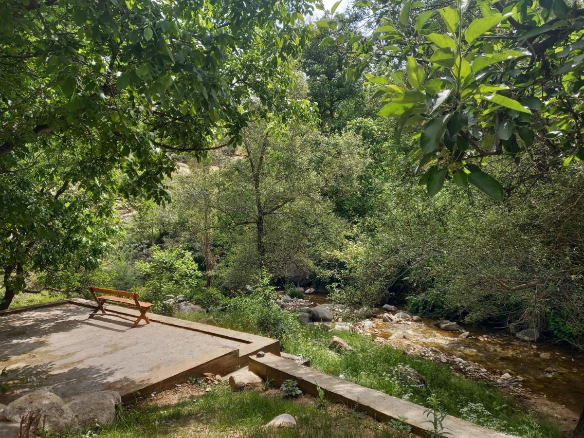 Forest Guest House Mirzakishlak Экстерьер фото