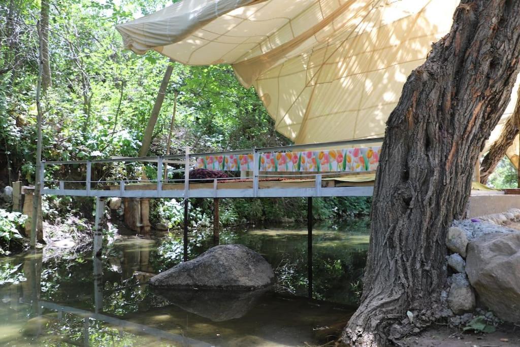 Forest Guest House Mirzakishlak Экстерьер фото